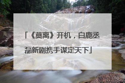 《莫离》开机，白鹿丞磊新剧携手谋定天下
