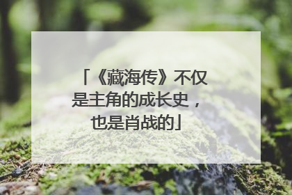 《藏海传》不仅是主角的成长史，也是肖战的