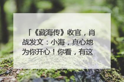 《藏海传》收官，肖战发文：小海，真心地为你开心！你看，有这么多人懂你！