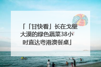 「甘快看」长在戈壁大漠的绿色蔬菜38小时直达粤港澳餐桌