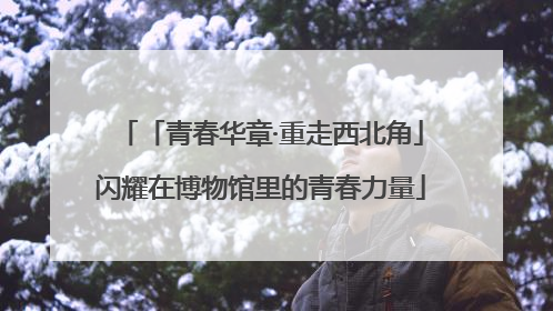 「青春华章·重走西北角」闪耀在博物馆里的青春力量
