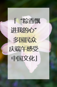 “粽香飘进我的心” 多国民众庆端午感受中国文化