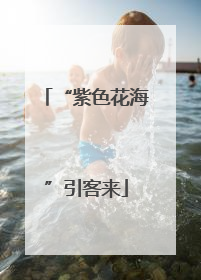 “紫色花海”引客来