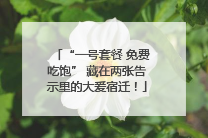 “一号套餐 免费吃饱” 藏在两张告示里的大爱宿迁！