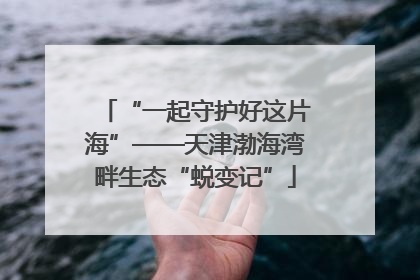 “一起守护好这片海”——天津渤海湾畔生态“蜕变记”