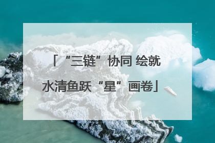 “三链”协同 绘就水清鱼跃“星”画卷