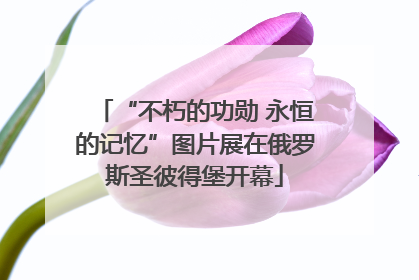 “不朽的功勋 永恒的记忆”图片展在俄罗斯圣彼得堡开幕