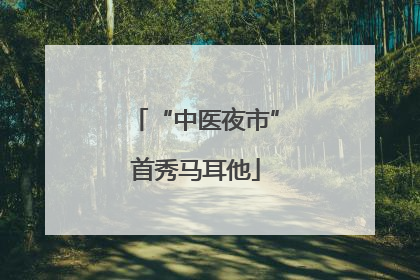 “中医夜市”首秀马耳他