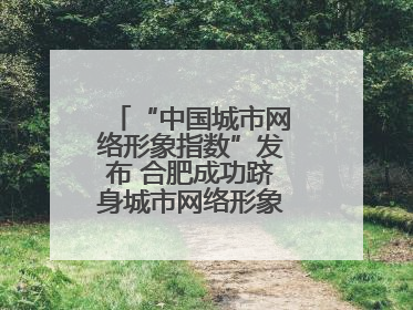 “中国城市网络形象指数”发布 合肥成功跻身城市网络形象榜单第一方阵