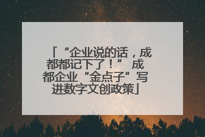 “企业说的话，成都都记下了！” 成都企业“金点子”写进数字文创政策