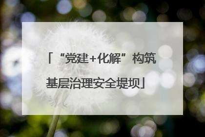 “党建+化解”构筑基层治理安全堤坝