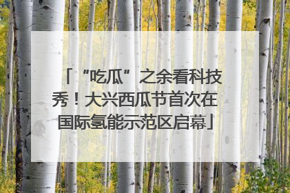 “吃瓜”之余看科技秀！大兴西瓜节首次在国际氢能示范区启幕