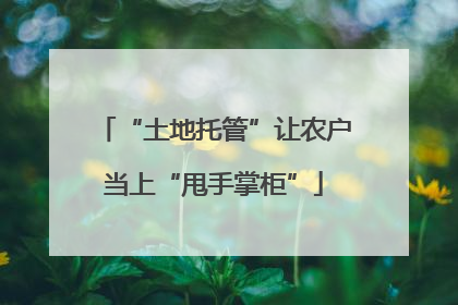 “土地托管”让农户当上“甩手掌柜”
