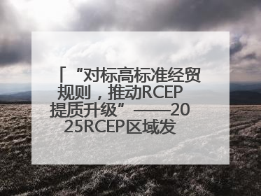 “对标高标准经贸规则，推动RCEP提质升级”——2025RCEP区域发展媒体智库论坛举行专题对话