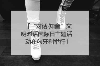 “对话·知音”文明对话国际日主题活动在匈牙利举行