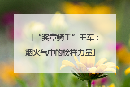 “奖章骑手”王军：烟火气中的榜样力量