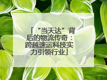 “当天达”背后的物流传奇：跨越速运科技实力引领行业