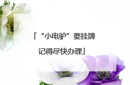 “小电驴”要挂牌 记得尽快办理