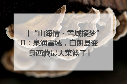 “山海情・雪域援梦”⑪：泉润雪域，白朗县变身西藏最大菜篮子