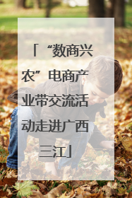 “数商兴农”电商产业带交流活动走进广西三江