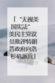 “无视美国宪法” 美民主党议员批评特朗普政府向洛杉矶派兵