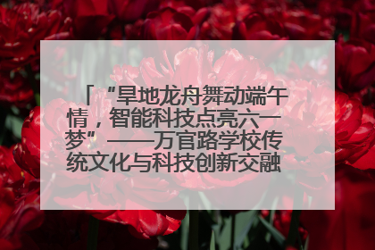“旱地龙舟舞动端午情，智能科技点亮六一梦”——万官路学校传统文化与科技创新交融的精彩盛宴