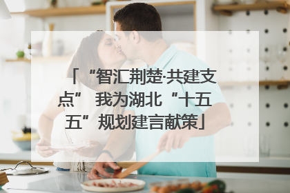 “智汇荆楚·共建支点” 我为湖北“十五五”规划建言献策