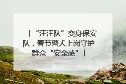 “汪汪队”变身保安队，春节警犬上岗守护群众“安全感”
