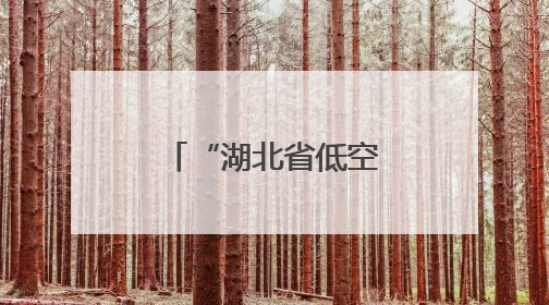 “湖北省低空飞行服务平台”建设正式启动