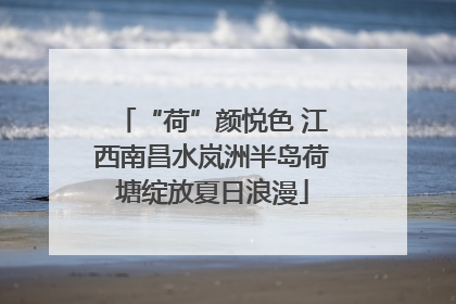 “荷”颜悦色 江西南昌水岚洲半岛荷塘绽放夏日浪漫
