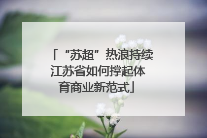 “苏超”热浪持续 江苏省如何撑起体育商业新范式