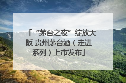 “茅台之夜”绽放大阪 贵州茅台酒（走进系列）上市发布