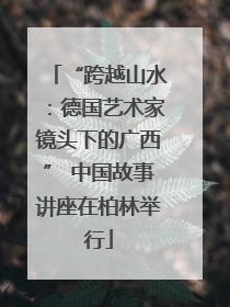 “跨越山水：德国艺术家镜头下的广西” 中国故事讲座在柏林举行