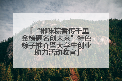 “郴味粽香传千里 金榜题名创未来”特色粽子推介暨大学生创业助力活动收官