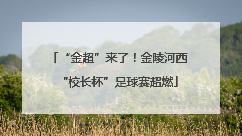 “金超”来了！金陵河西“校长杯”足球赛超燃
