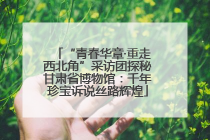 “青春华章·重走西北角”采访团探秘甘肃省博物馆：千年珍宝诉说丝路辉煌