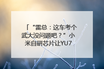 “雷总：这车考个武大没问题吧？”小米自研芯片让YU7会学习｜汽车科技