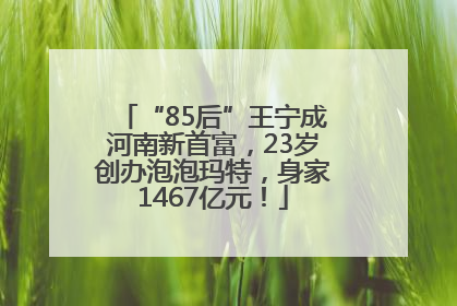 “85后”王宁成河南新首富，23岁创办泡泡玛特，身家1467亿元！