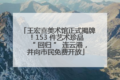 王宏喜美术馆正式揭牌！153 件艺术珍品 “ 回归 ” 连云港，并向市民免费开放