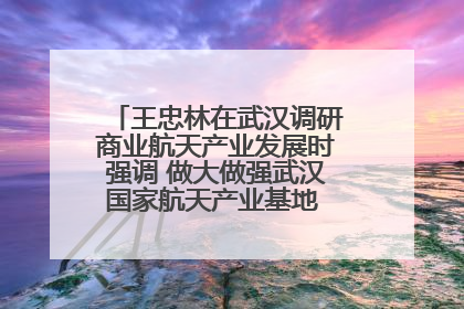 王忠林在武汉调研商业航天产业发展时强调 做大做强武汉国家航天产业基地 打造具有全国影响力的“中国星谷”