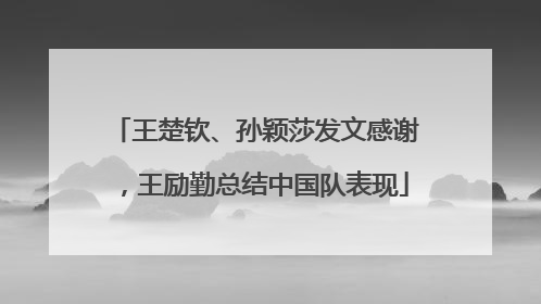 王楚钦、孙颖莎发文感谢，王励勤总结中国队表现