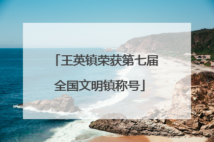 王英镇荣获第七届全国文明镇称号