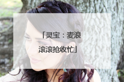 灵宝：麦浪滚滚抢收忙