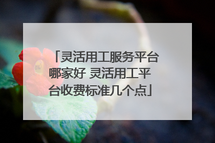 灵活用工服务平台哪家好 灵活用工平台收费标准几个点