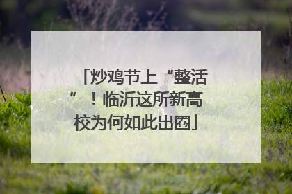 炒鸡节上“整活”！临沂这所新高校为何如此出圈