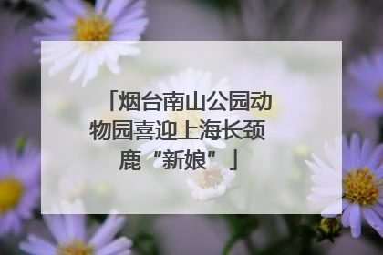 烟台南山公园动物园喜迎上海长颈鹿“新娘”