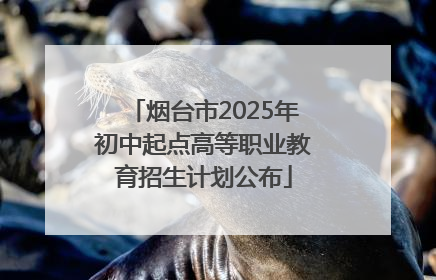 烟台市2025年初中起点高等职业教育招生计划公布