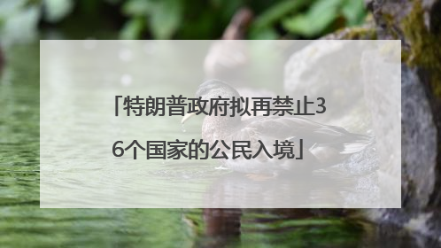 特朗普政府拟再禁止36个国家的公民入境