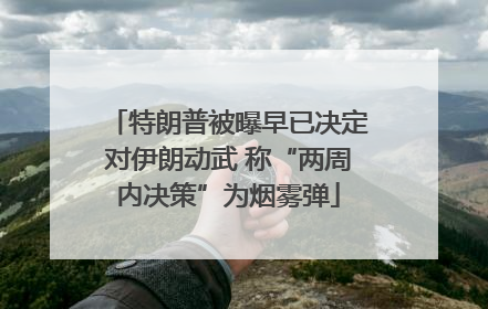 特朗普被曝早已决定对伊朗动武 称“两周内决策”为烟雾弹