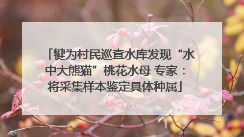 犍为村民巡查水库发现“水中大熊猫”桃花水母 专家：将采集样本鉴定具体种属